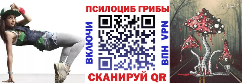 Псилоцибиновые грибы Psilocybe  сколько стоит  Питкяранта 
